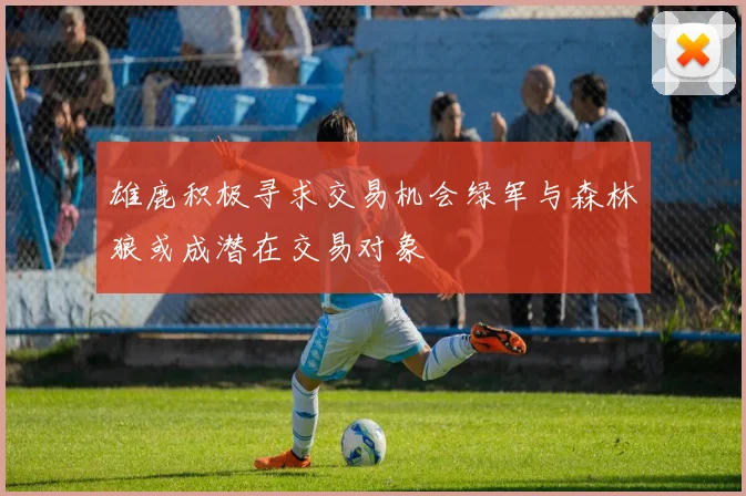 雄鹿积极寻求交易机会绿军与森林狼或成潜在交易对象